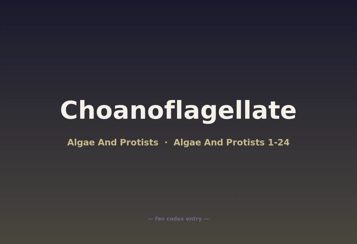 Choanoflagellate