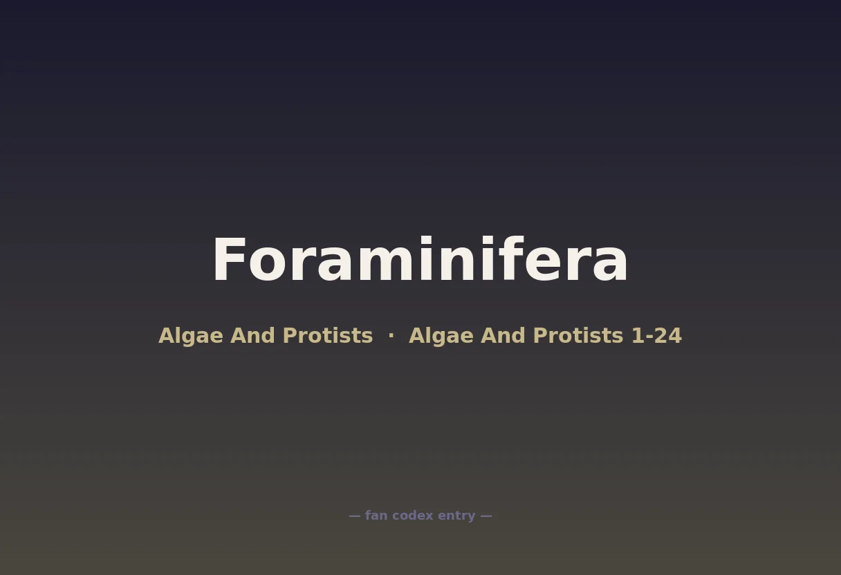 Foraminifera