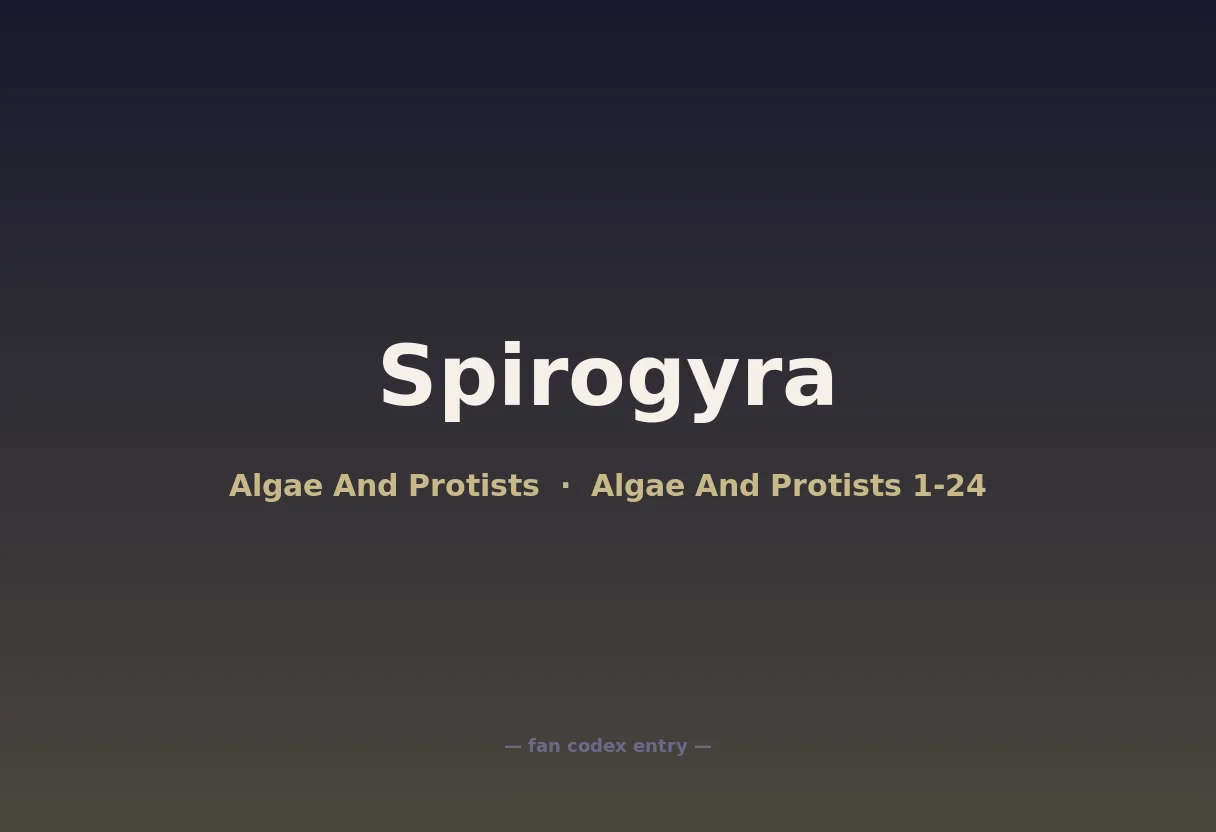 Spirogyra